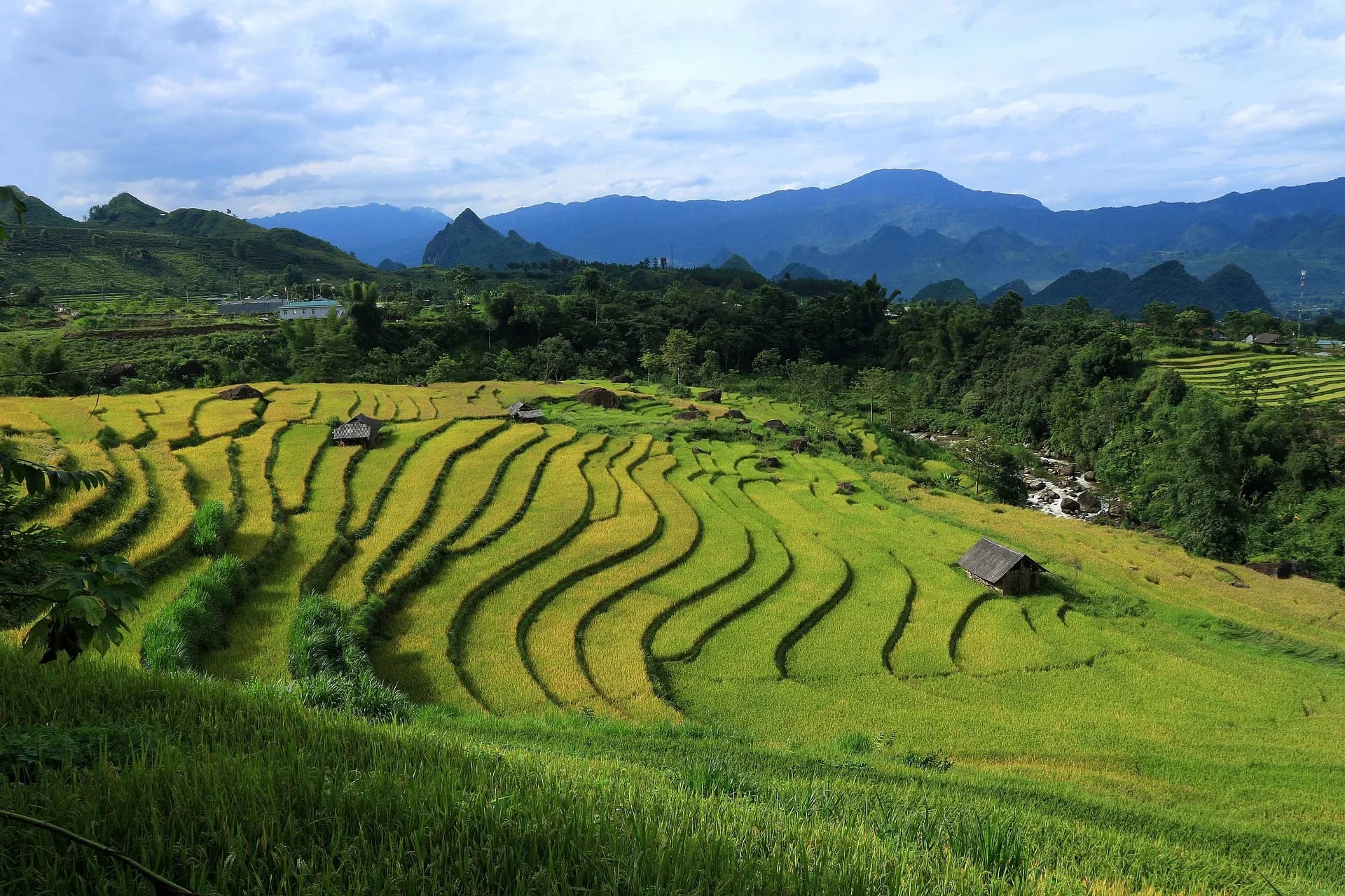 Amazing Farm